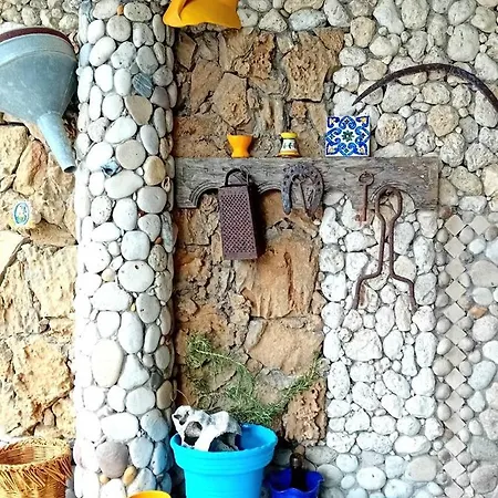 Michelle Villa Licata