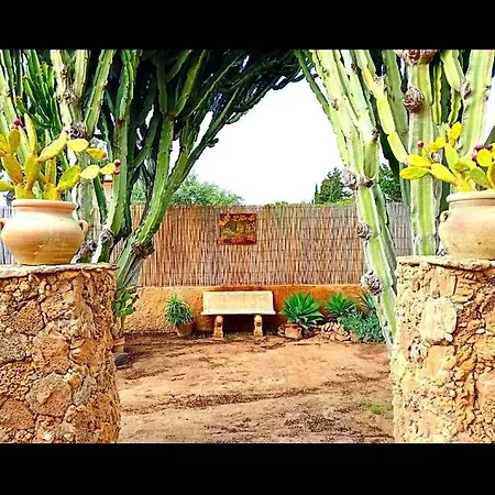 Willa Michelle Licata